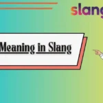BD Meaning in Slang