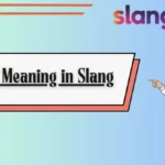 FIV Meaning in Slang