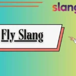 Fly Slang