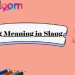 Gig Meaning in Slang