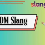 IDM Slang