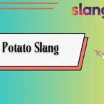 Potato Slang