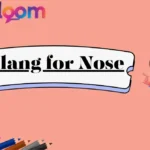 Slang for Nose