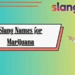 Slang Names for Marijuana
