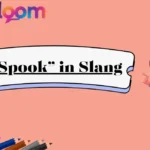 “Spook” in Slang