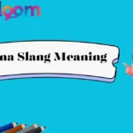Tina Slang Meaning