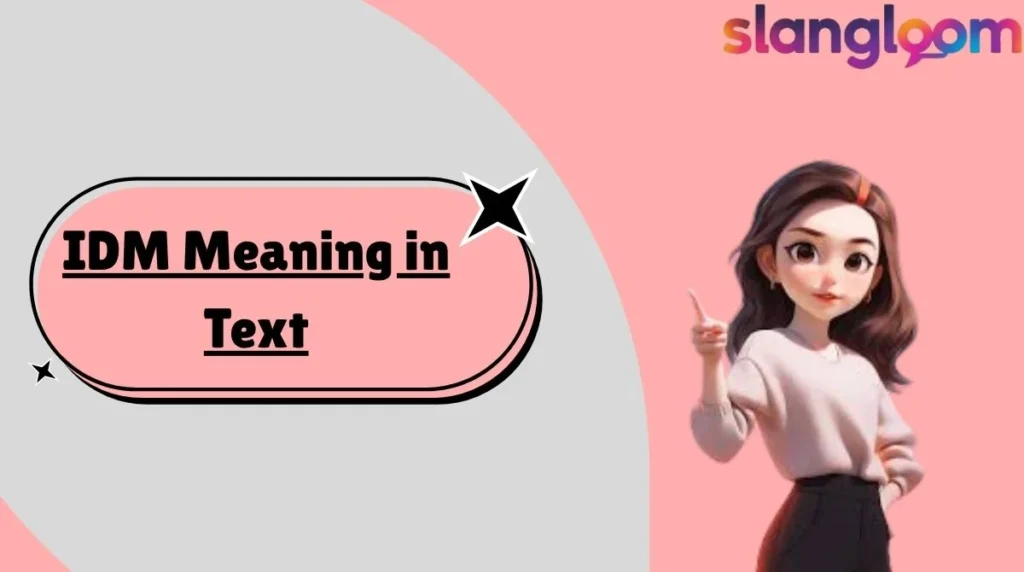IDM Meaning in Text