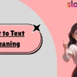 Text to Text Meaning