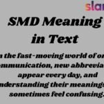 SMD Meaning in Text
